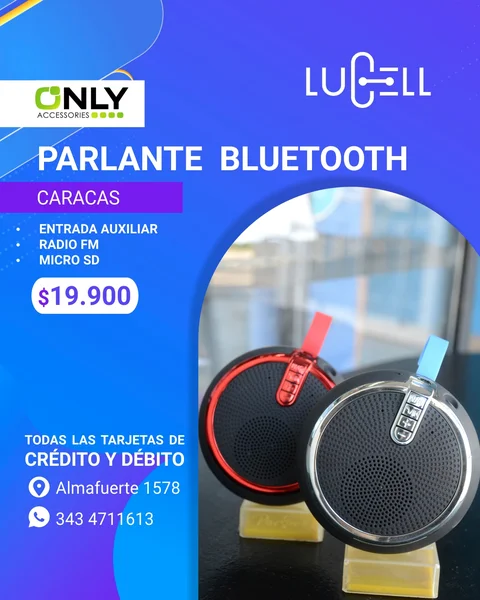 Parlante Bluetooth Portátil Caracas con Radio FM y Micro SD